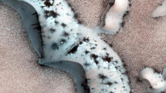 Â¿Para quÃ© terraformar todo Marte? Mejor creemos en Ã©l Â«islas habitablesÂ»