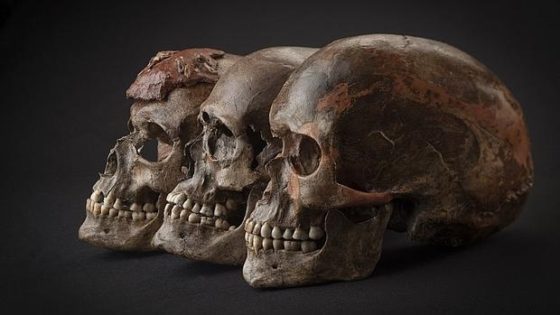 Descubren el linaje que nos convirtiÃ³ en europeos