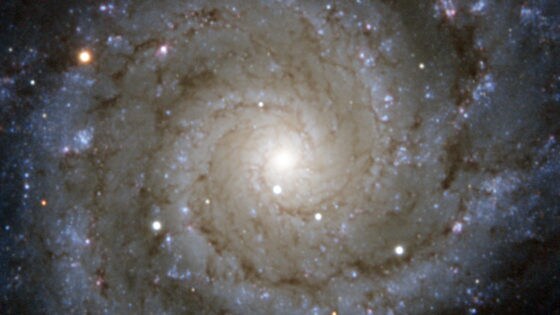 Primeros datos de la supernova que explotÃ³ Â«en directoÂ»