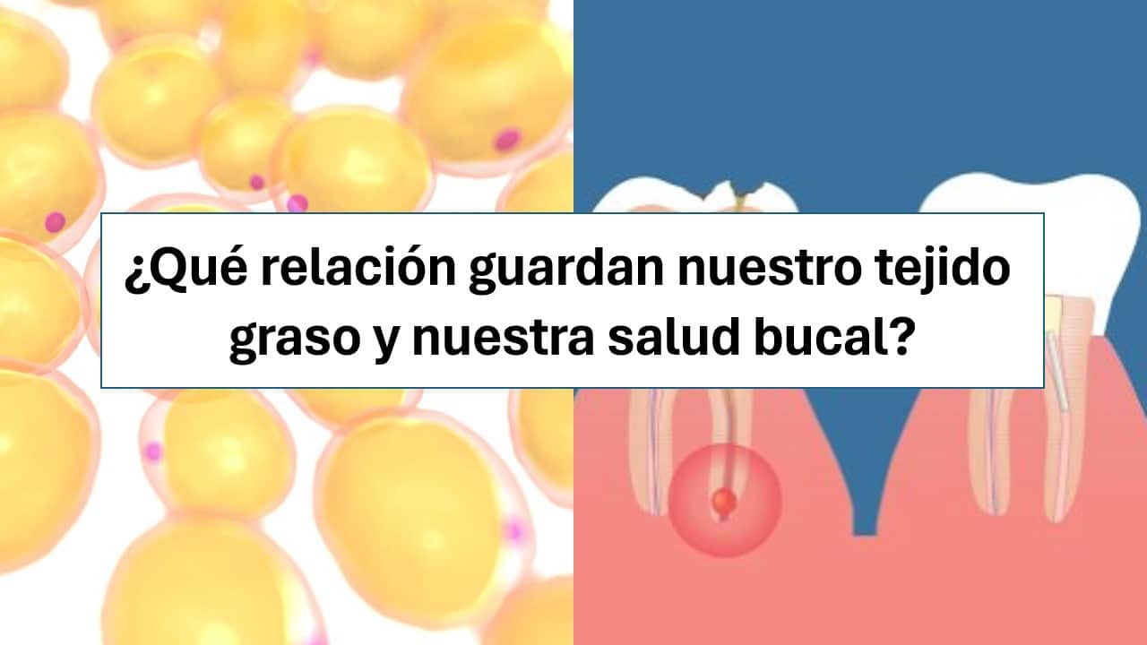¿Qué relación guardan nuestro tejido graso y nuestra salud bucal?