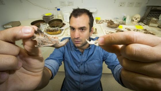 Convivimos miles de años con ratas gigantes