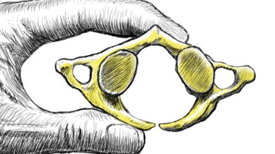 Â¿Pudo la endogamia acabar con los neandertales?